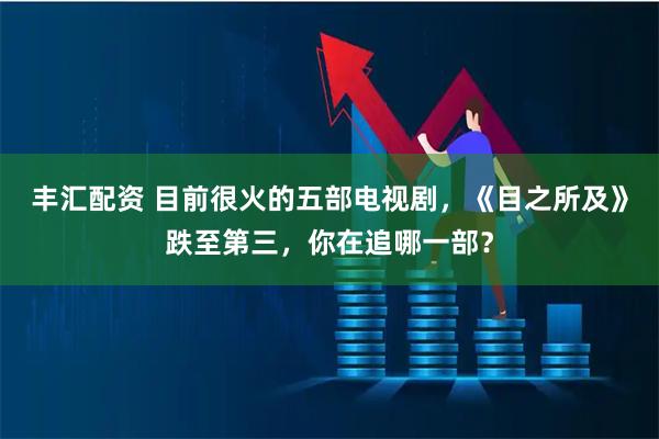 丰汇配资 目前很火的五部电视剧，《目之所及》跌至第三，你在追哪一部？