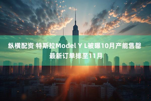 纵横配资 特斯拉Model Y L被曝10月产能售罄 最新订单排至11月