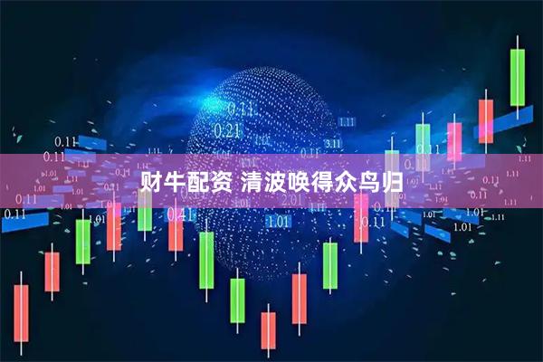 财牛配资 清波唤得众鸟归