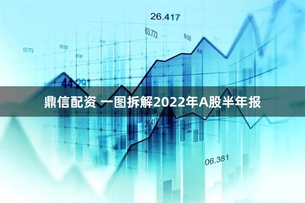 鼎信配资 一图拆解2022年A股半年报