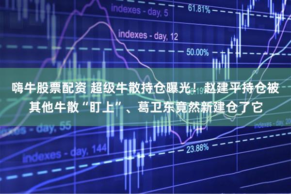 嗨牛股票配资 超级牛散持仓曝光!赵建平持仓被其他牛散“盯上”、葛卫东竟然新建仓了它