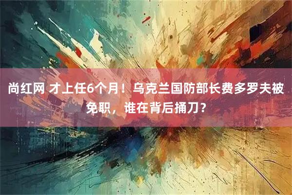 尚红网 才上任6个月！乌克兰国防部长费多罗夫被免职，谁在背后捅刀？